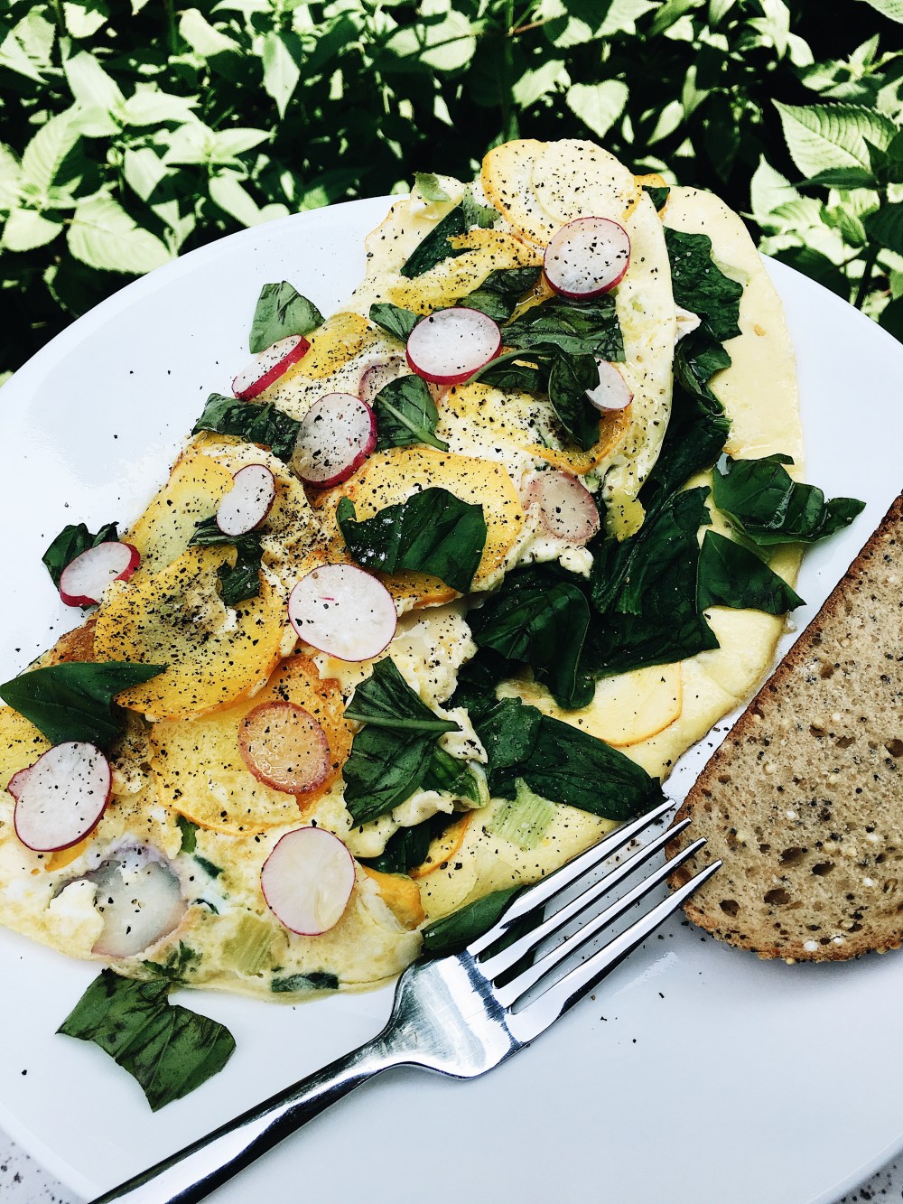 yellowsquashomelette