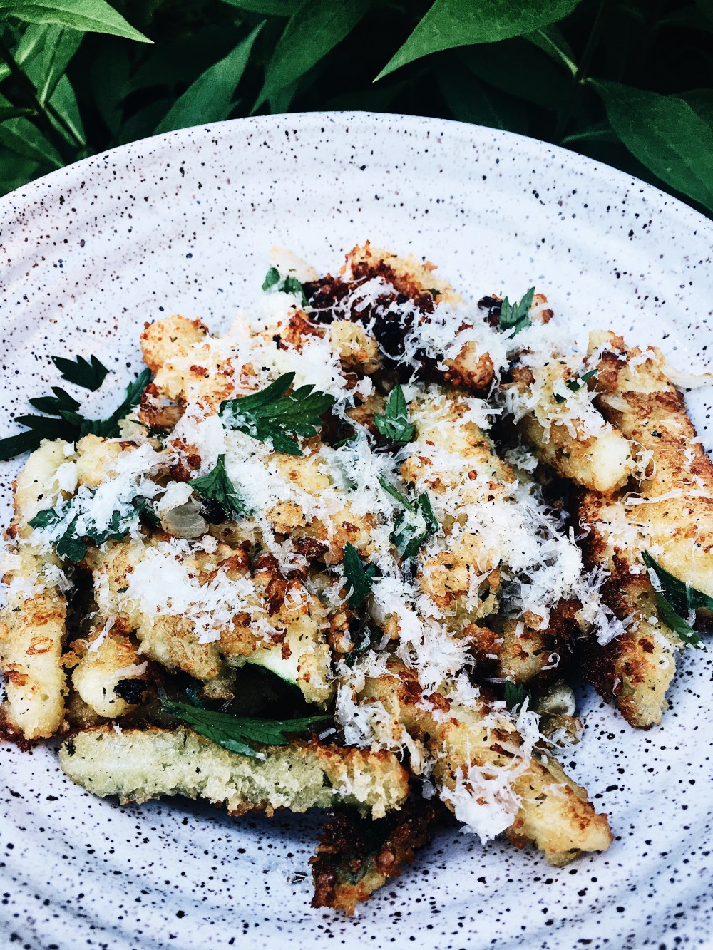 zucchinifriescloseup