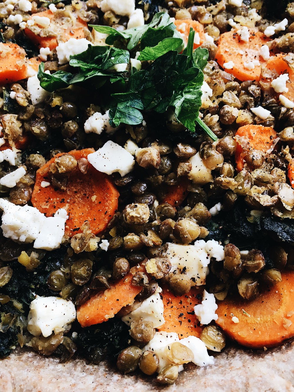 Lentil Pie Super Up Close