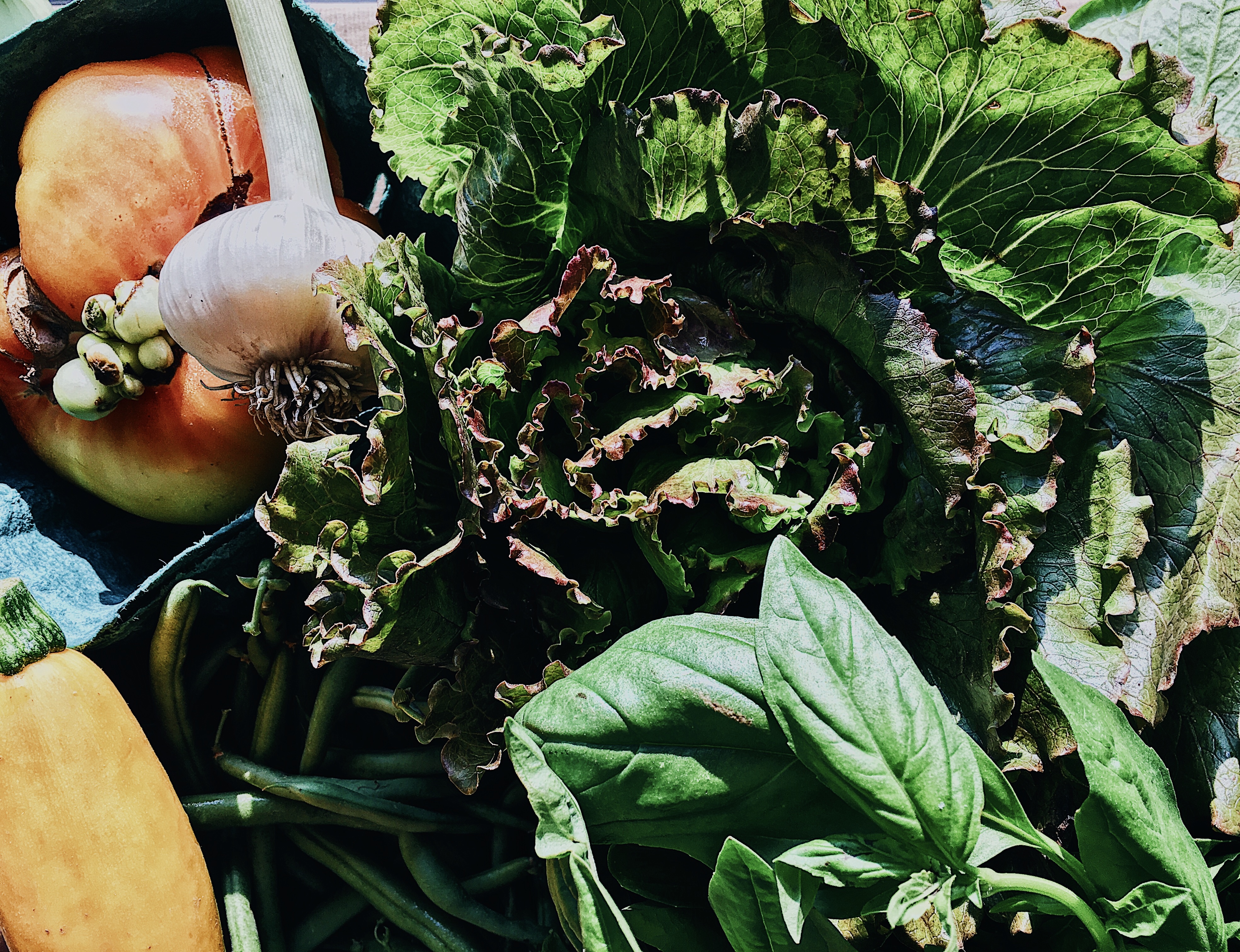 Processed with VSCO with a6 preset